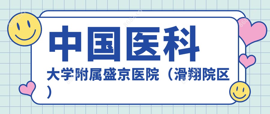 国内医科大学附属盛京医院(滑翔院区)