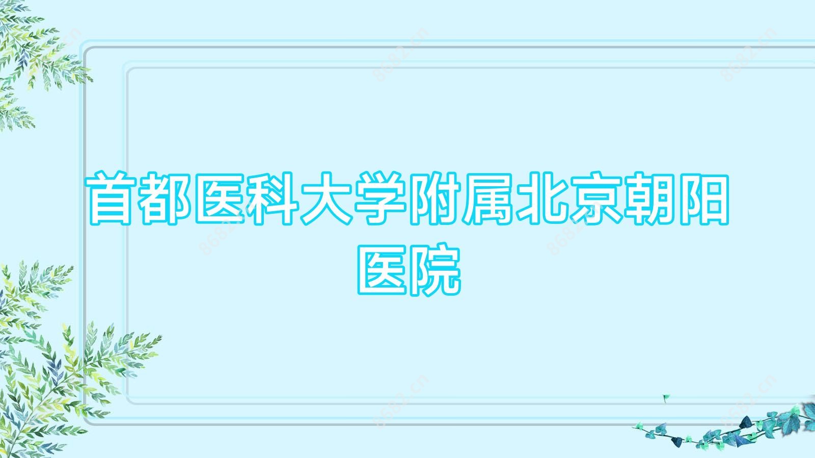 首都医科大学附属北京朝阳医院