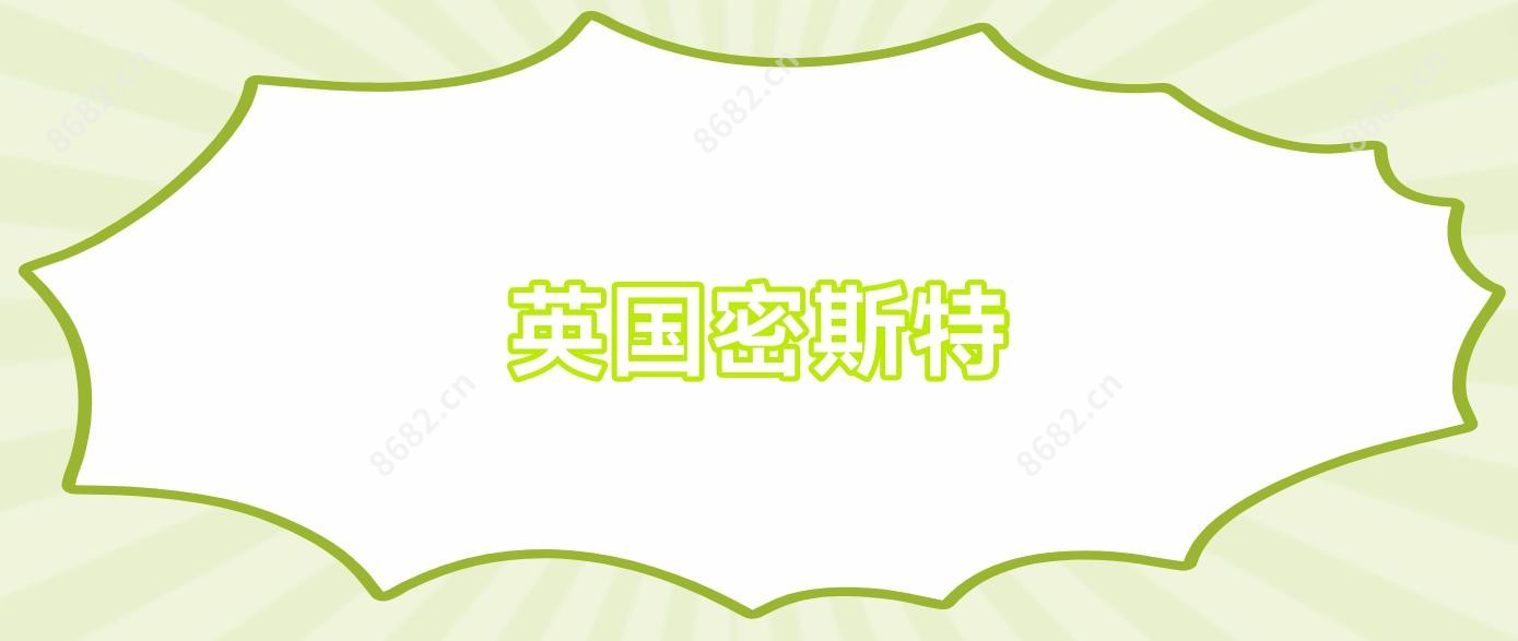 英国密斯特