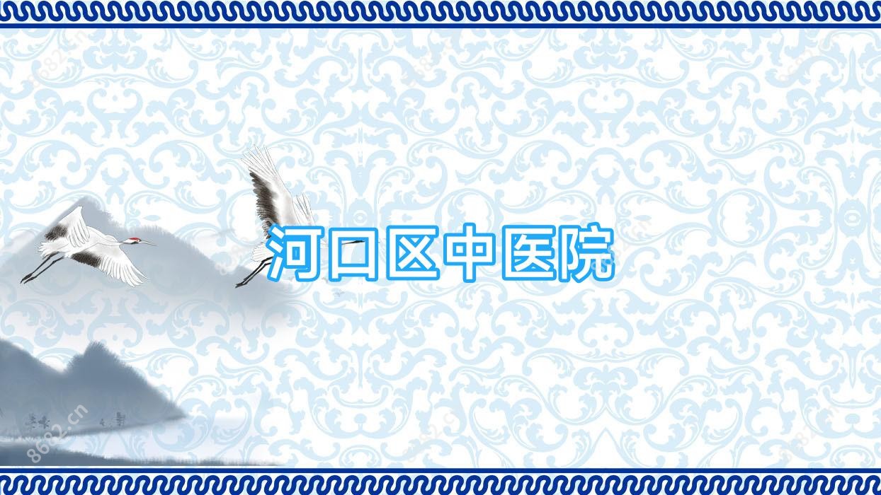 河口区中医院