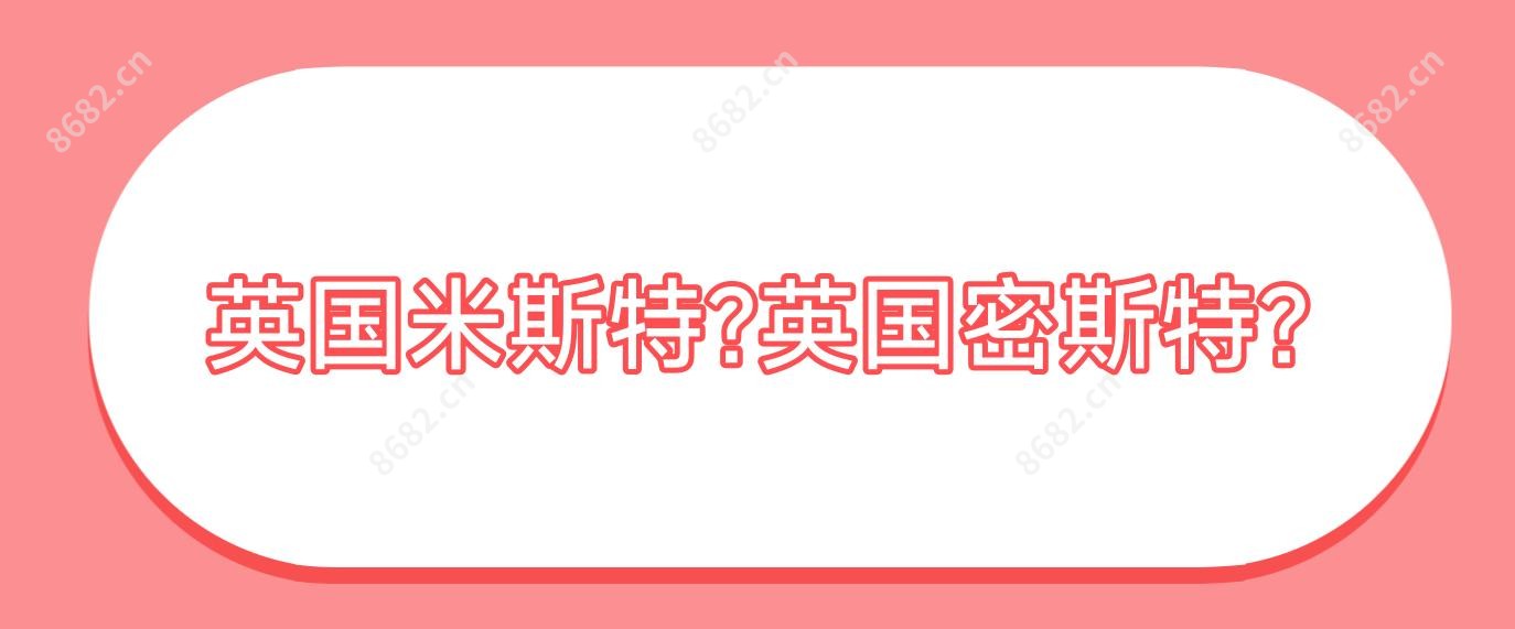 英国米斯特?英国密斯特?