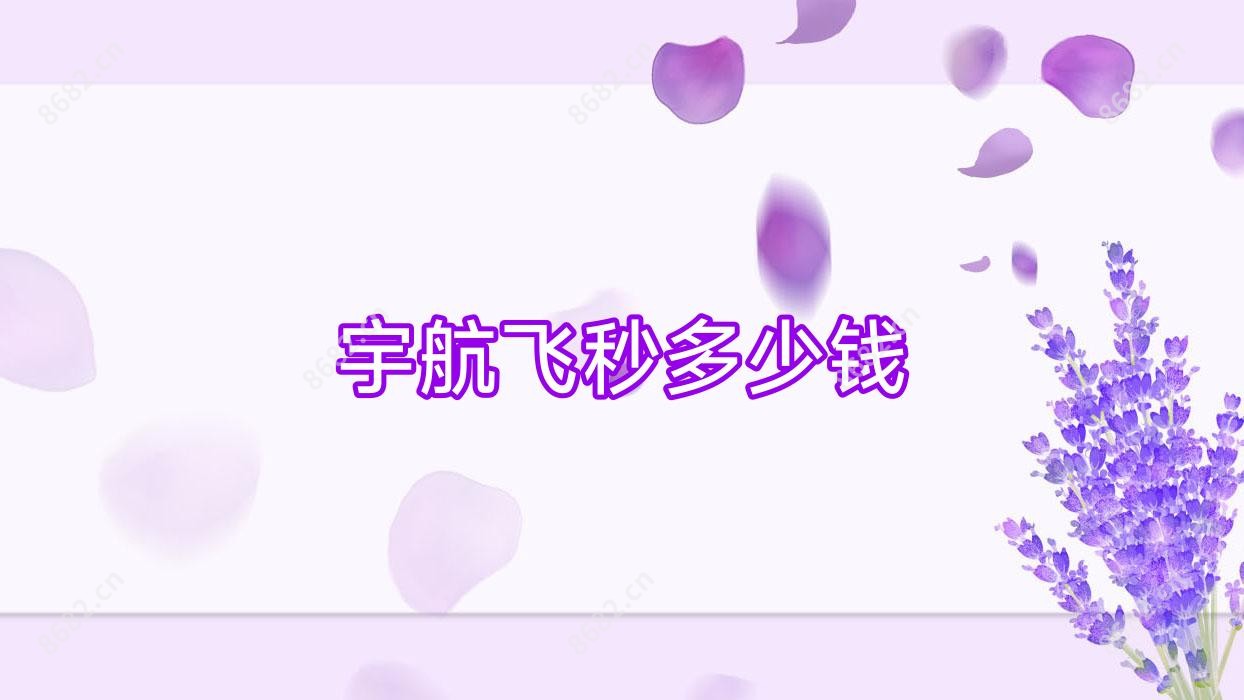 宇航飞秒多少钱