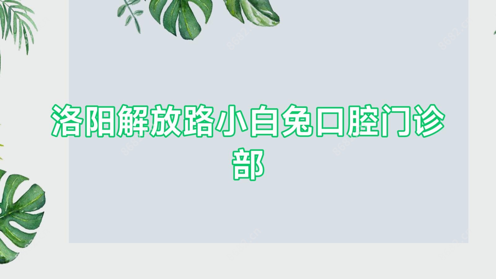 洛阳解放路小白兔口腔门诊部
