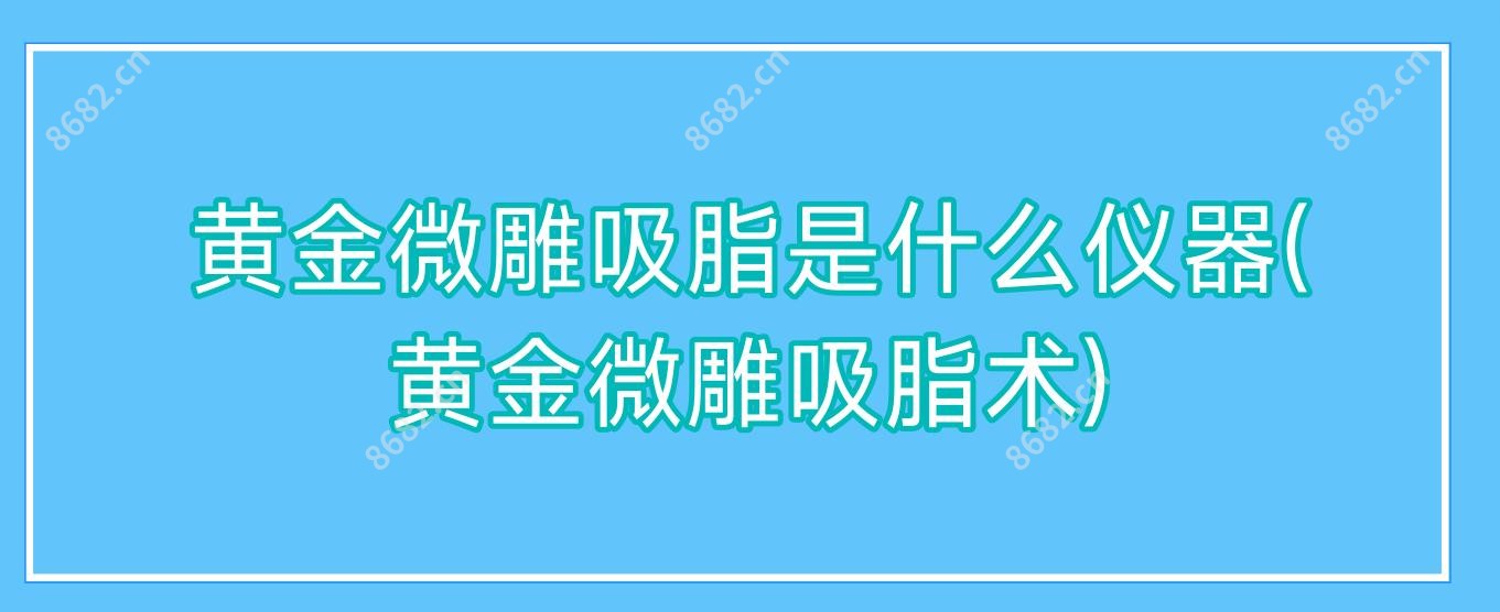 黄金微雕吸脂是什么仪器(黄金微雕吸脂术)