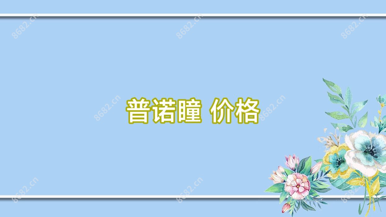 普诺瞳 价格