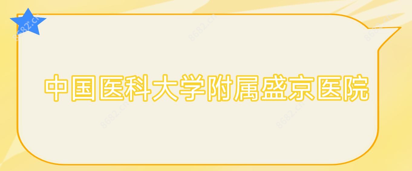 国内医科大学附属盛京医院
