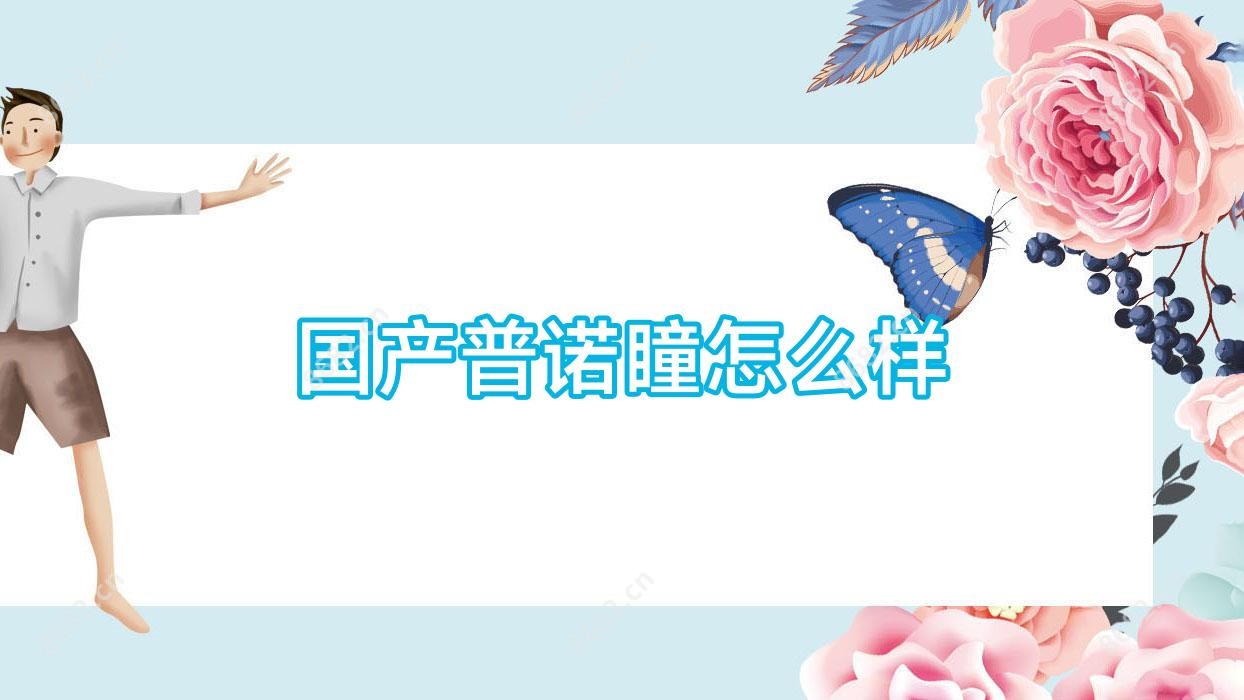 国产普诺瞳怎么样