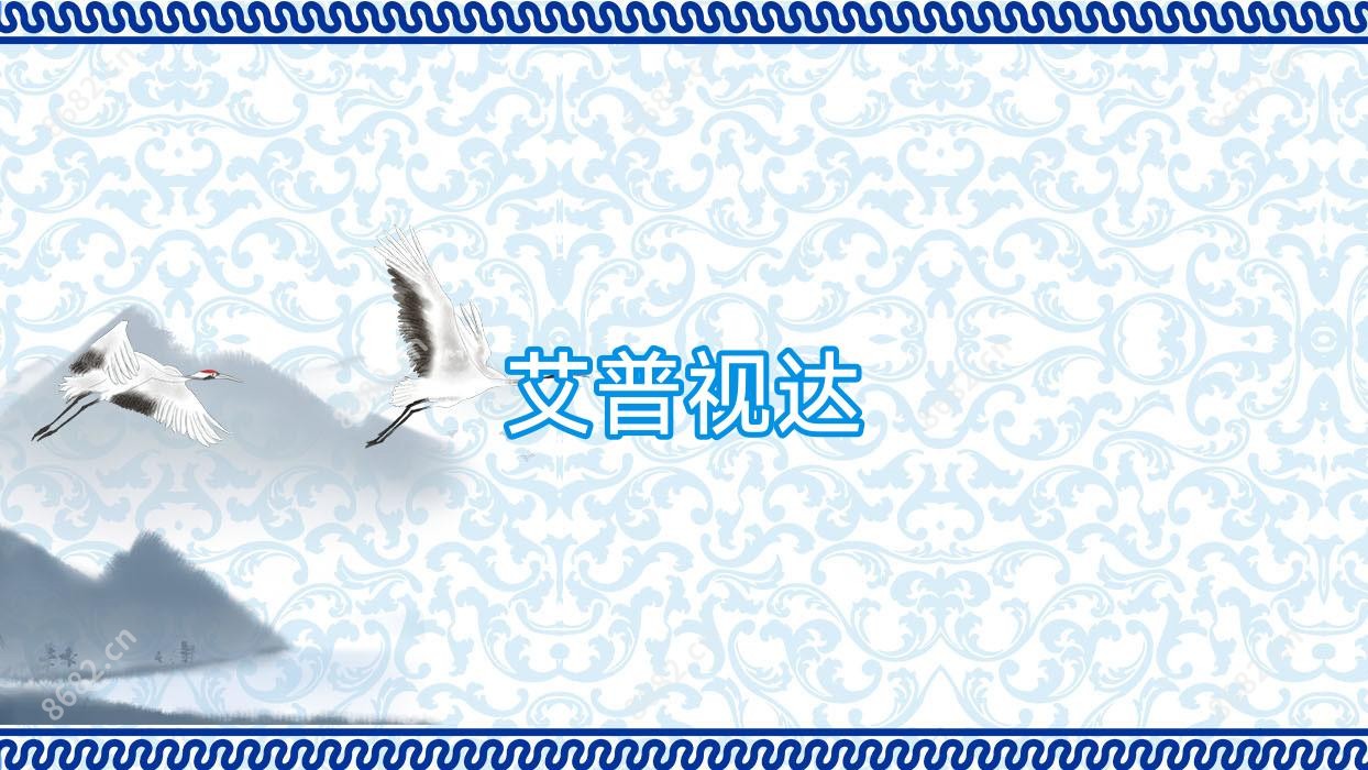 艾普视达