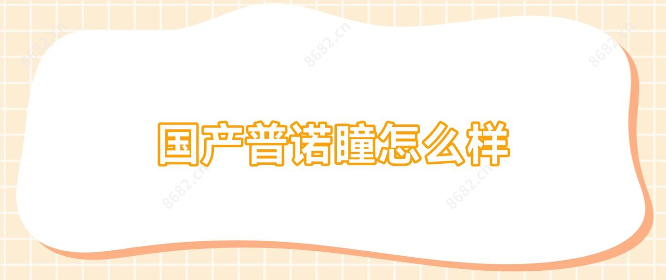 国产普诺瞳怎么样
