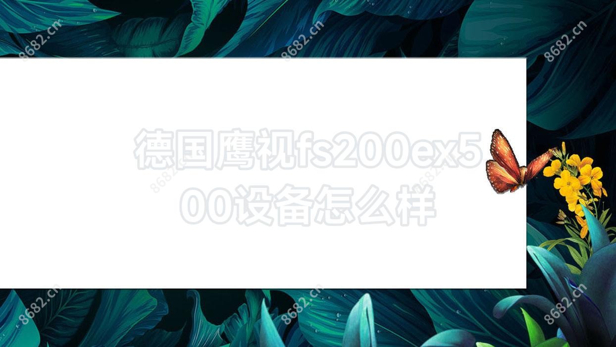 德国鹰视fs200ex500设备怎么样