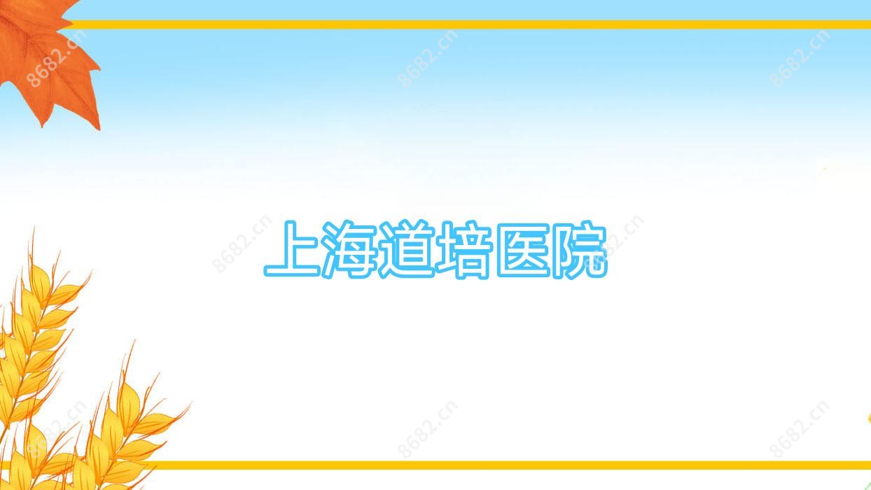 上海道培医院