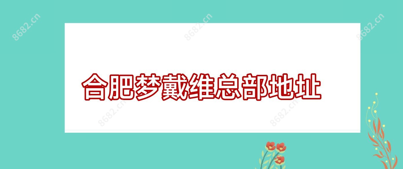 合肥梦戴维总部地址