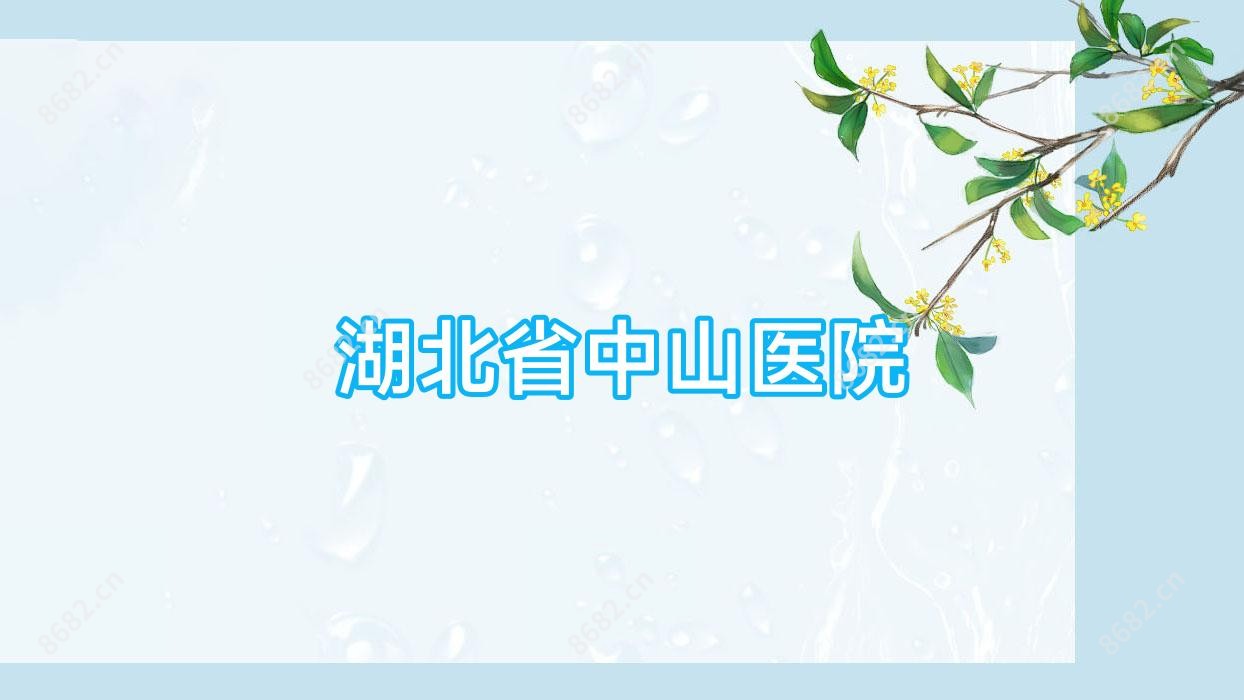 湖北省中山医院