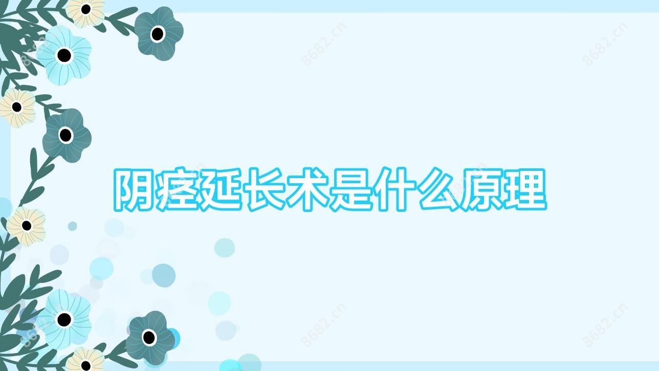 阴痉延长术是什么原理