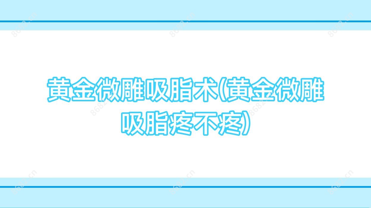 黄金微雕吸脂术(黄金微雕吸脂疼不疼)