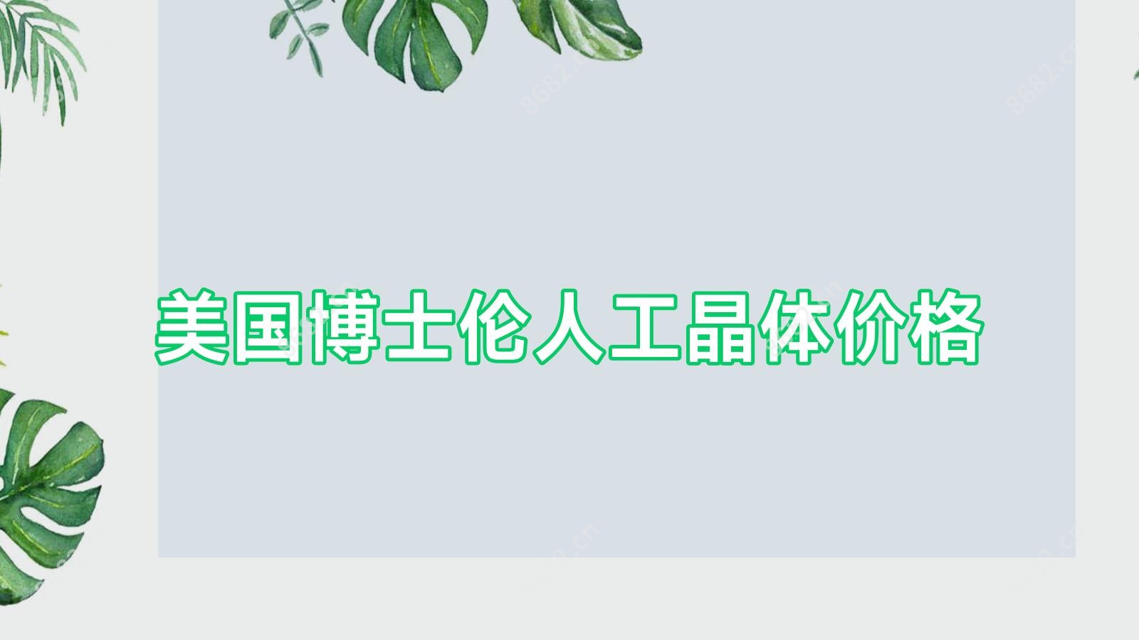 美国博士伦人工晶体价格