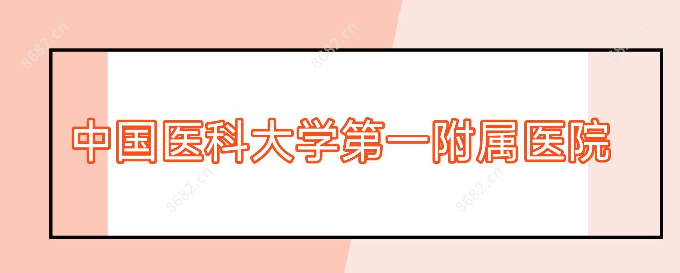 国内医科大学一附属医院