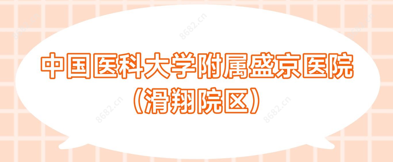 国内医科大学附属盛京医院(滑翔院区)