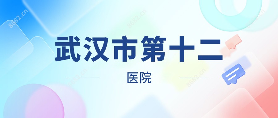 武汉市第十二医院