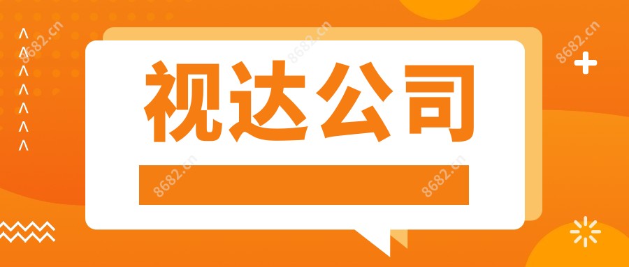 视达公司