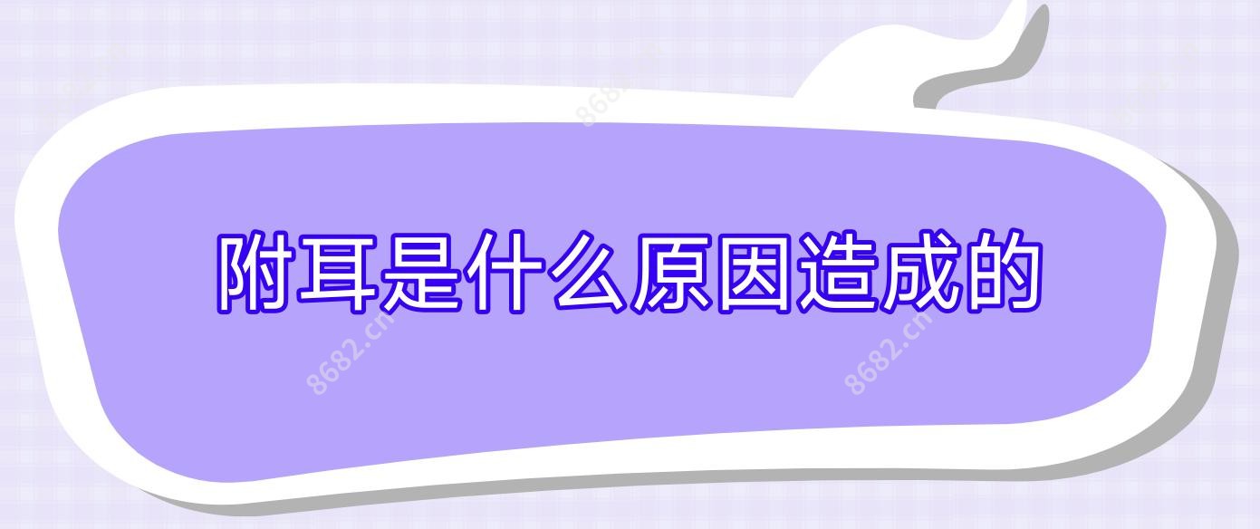 附耳是什么原因造成的
