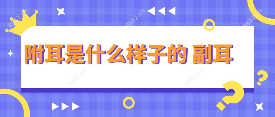 附耳是什么样子的 副耳