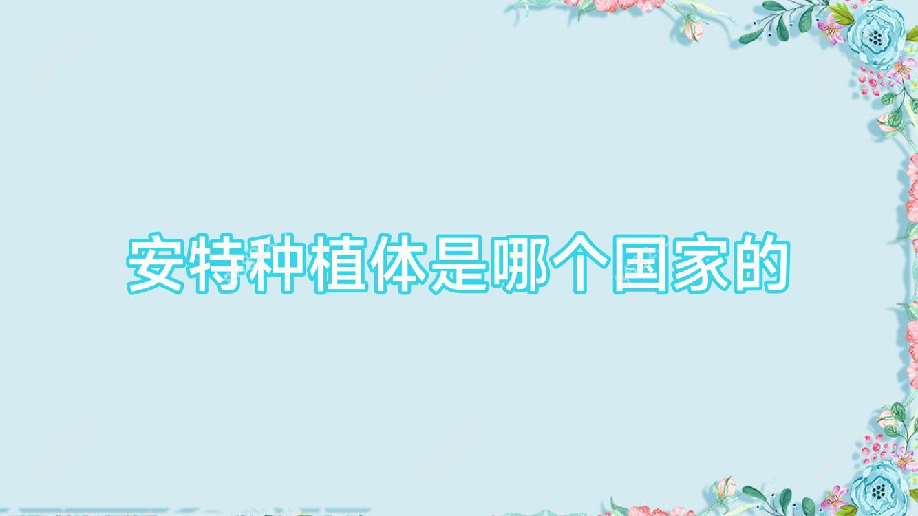 安特种植体是哪个我国的