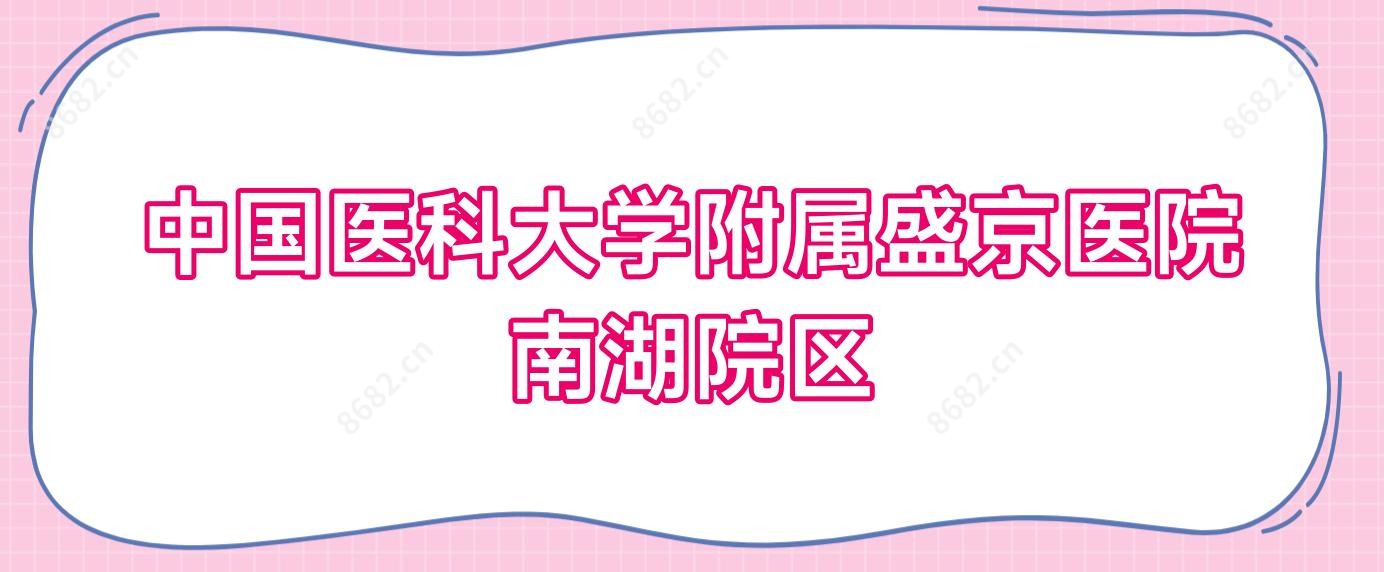 国内医科大学附属盛京医院南湖院区