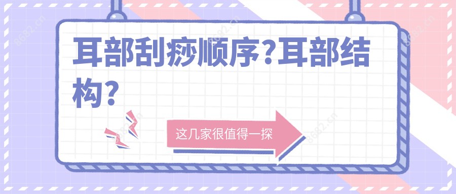 耳部刮痧顺序?耳部结构?