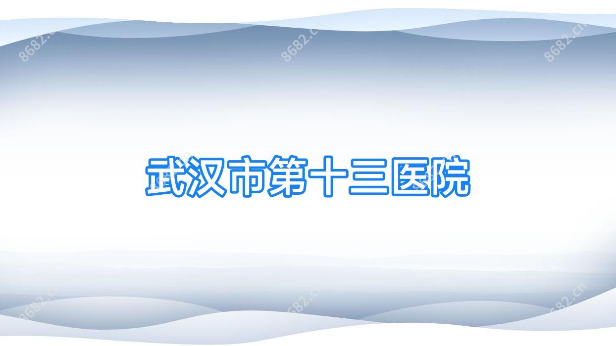 武汉市第十三医院